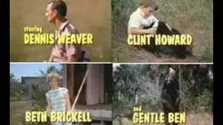 Gentle Ben