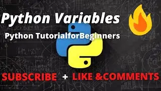 Python Variables - Python Tutorial for Beginners with Examples 2021 Python Variables - Python