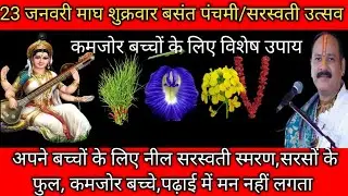 23 जनवरी बसंत पंचमी/सरस्वती पूजा उपाय संपूर्ण जानकारी/ कमजोर बच्चों के लिए 