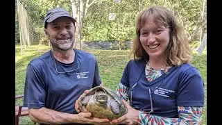 Protecting wildlife: Together, we can make a difference