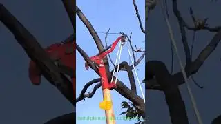 Plants steam cutter tool #shorts #satisfying #agriculture #garden #gardening