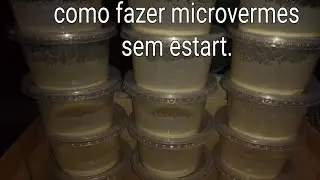 Como fazer microvermes para alevinos de bettas.
