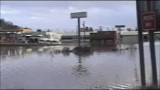 The Flood: Aftermath