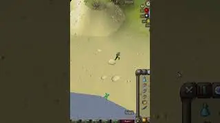 I thought I got the Sand Crab Pet for a second 😂🤣😂