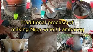 PROCESS OF MAKING PURE NIPA WINE (PAANO GINAGAWA ANG LAMBANOG) #nipa#lifeinprovince#wine