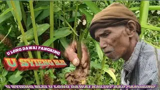 Ipaieit na umtarsor ai dawai khasi