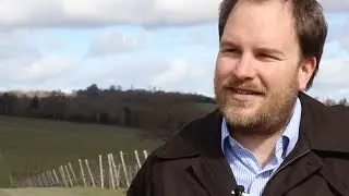 Is climate change good news for the UK wine industry?