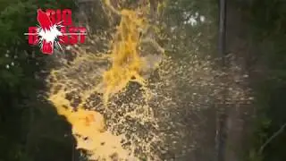 Big Blast Caps