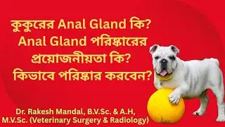 কুকুরের Anal Gland কি? Anal Gland পরিষ্কারের প্রয়োজনীয়তা কি? কিভাবে পরিষ্কার করবেন? #talk2vet
