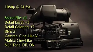 Panasonic AG-HMC80 1920x1280 @24 fps, Test