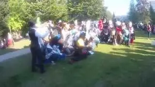 Tracon 9: Ryhm&auml;kuva Fursuittaajat