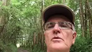 VFTT - Blue Gums on the Camino