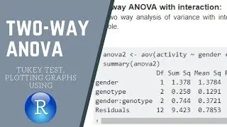 Two way analysis of variance using R studio, Tukey HSD test, Interaction bar graph