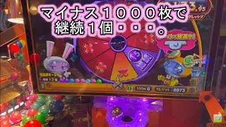 こねこのメダルゲーム日記No.839 ホリアテール余計なことをして終われなくなるこねこ
