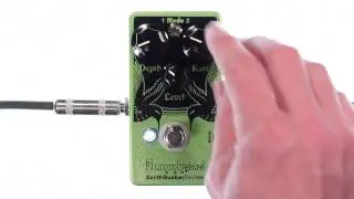 EarthQuaker Devices Hummingbird Repeat Percussion Tremolo