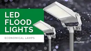 LED Flood Light - Economical construction lamps with various beam angles and installation options.