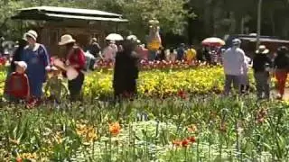 Floriade sees second-highest attendance on record