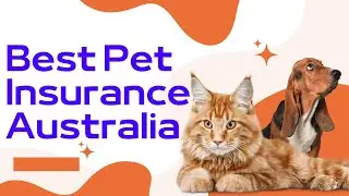 Best Pet Insurance Australia 🇦🇺 [Reviews] | Top 7 Most Affordable Pet Insurance, Cost & Covers