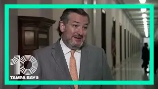 Senator Ted Cruz: 'I've been leading the effort to fight gun violence'