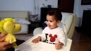 Ryan & Ferha