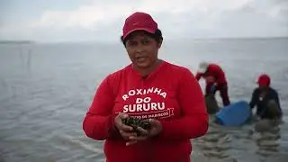Mulheres da comunidade de Periju&ccedil;ara em Axix&aacute; s&atilde;o protagonistas da cata do sururu e ostras.
