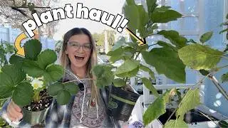 Доставка растений для моего сада во Флориде! 🌿 | Покупки в местном питомнике + Новости о садовых ...