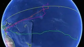 Five Longest IGFA Great Marlin Race Satellite-Tagged Marlin Tracks (IGMR)