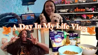 VLOG: a day in my life 