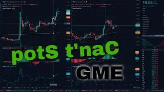 GME Goes Weeee, Bullish | NEGG & TSLA Options and Technical Analysis