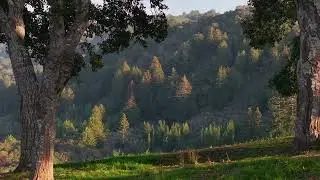 Welcome to 17 Rancho San Carlos Road in the Santa Lucia Preserve