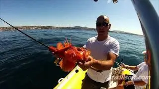 Scorpion fish - Rascasse rouge - Chapon - rascacio - record with gopro hero