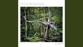 Peter's Garden
