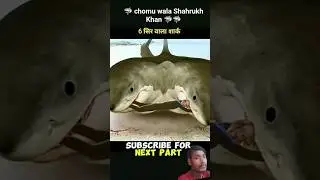 🦈🙏 chomu wala frock 🦈🦈