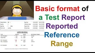 #Basic #Format of a #Test #Report #Reported #Reference #Range (B.Sc. MLT, 5th Semester) #Hindi #Mlt