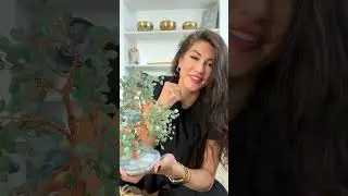 How to Attract Wealth into Your Home