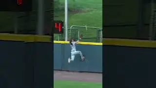 Bobby Whalen gets lost over the wall tracking a home run 🤣 #shorts