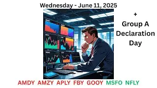 YieldMax ETF AMDY, AMZY, APLY, FBY, GOOY, MSFO & NFLY Declaration Day Wednesday 6/11/25
