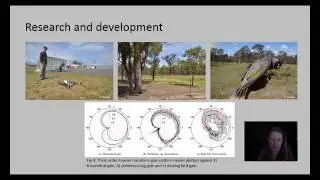 Wildlife Drones: small aerial robots for radiotracking wildlife