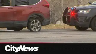 Calgary police respond to stolen vehicle incident in SE