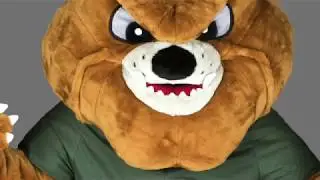 Kost&uuml;m Bulldoggen 264b Lauffigur Maskottchen g&uuml;nstig kaufen Walking act Produktion Herstellung