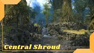 Final Fantasy: XIV - Central Shroud Showcase