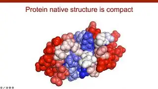 Allostery and Protein Evolution Through Protein Conformational Dynamics