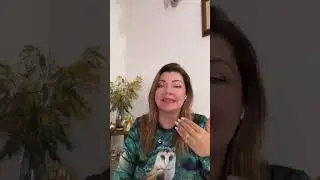 Я уже много говорила об НЛП, а теперь о DHE
