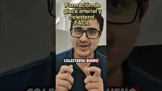 🥓Colesterol 