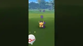 Shadow Shiny Sableye - Pokemon GO