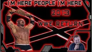 GOLDBERG 2013 RETURN