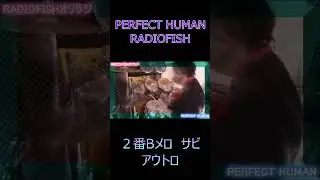 PERFECT HUMAN　ー　RADIOFISH　　＃４   #shorts