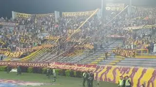 REVOLUCIÓN VINOTINTO SUR | TOLIMA 1-0 millonarios | LIGA BETPLAY 2022-2 | SANGRE PIJAO