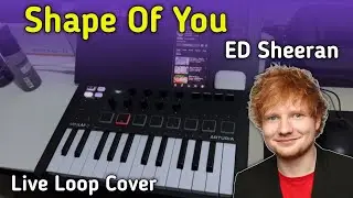 ED Sheeran - Shape Of You | Live Loop Cover | Arturia Minilab 3