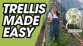Installing and Using the Qlipr Trellis System